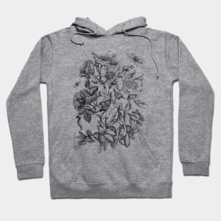 Rose Flower and Butterflies Black & White Vintage Illustration Hoodie